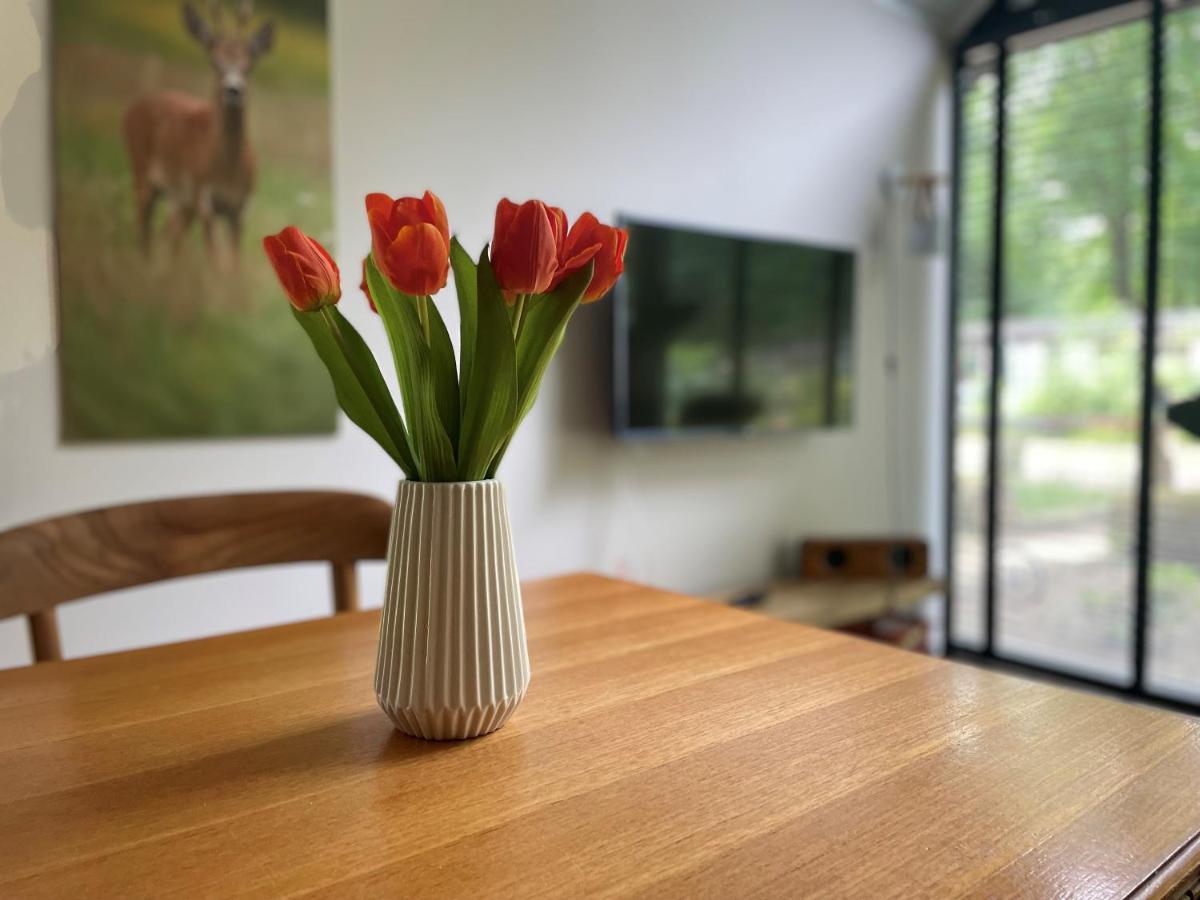 Cosy Tiny Lodges - Vakantiepark Kempenbos Diessen Zewnętrze zdjęcie