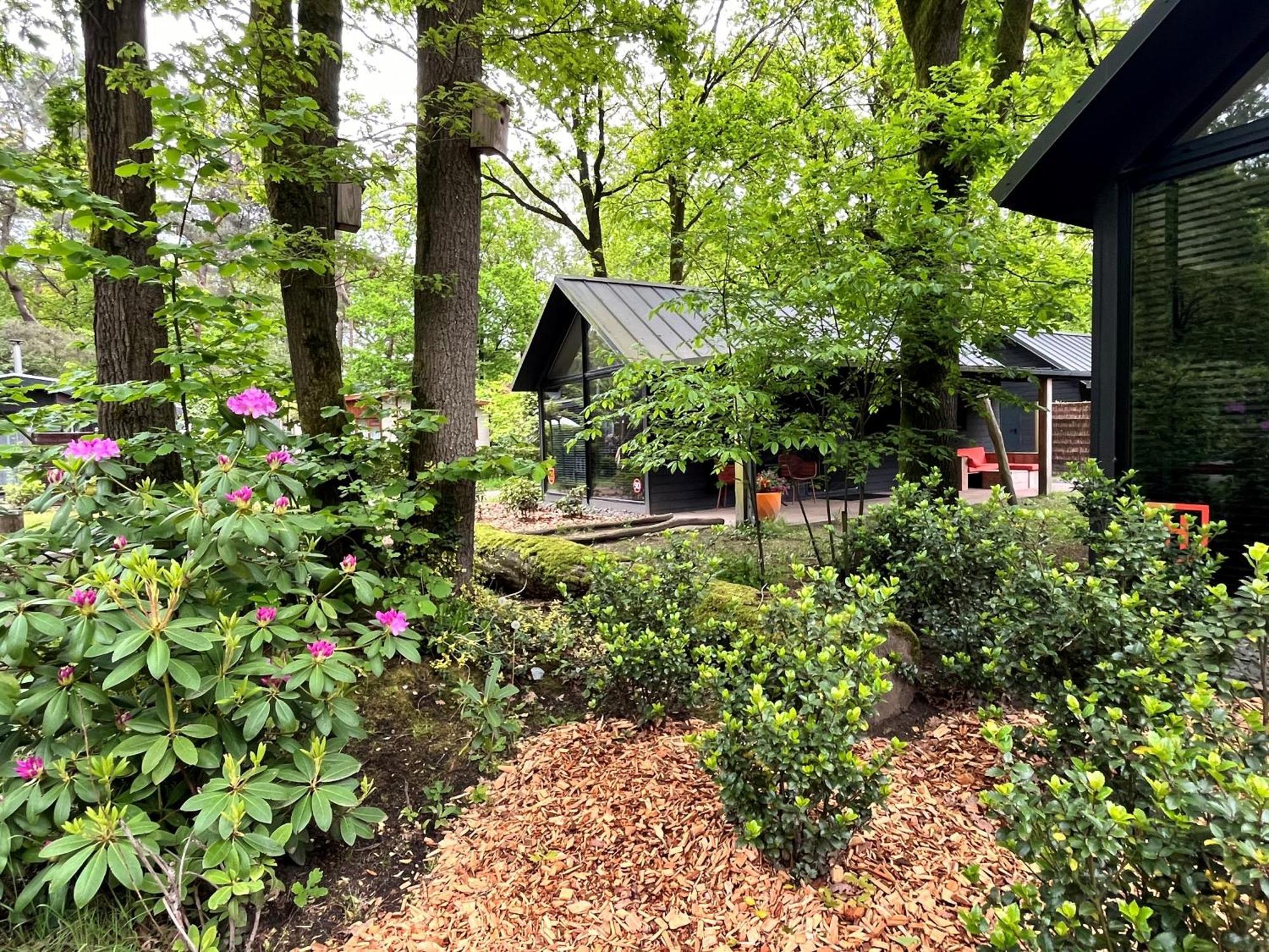 Cosy Tiny Lodges - Vakantiepark Kempenbos Diessen Zewnętrze zdjęcie